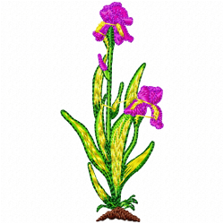 Flowers Embroidery Design 1